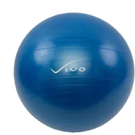 Piłki do ćwiczeń - Piłka Do Ćwiczeń Fitness Rehabilitacyjna 55 Pompka - miniaturka - grafika 1