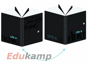 Inter-druk Kołozeszyt PP A4/100K kratka/linia B&B - Szkolne artykuły papiernicze - miniaturka - grafika 2