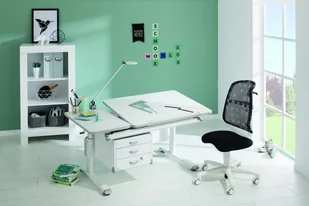 Paidi Kinderwelten Kinderwelten, Diego GT, Biurko, Kredowa biel - Biurka dla dzieci - miniaturka - grafika 4