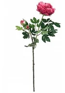 Sztuczne kwiaty - Europalms EUROPALMS Kwiat Piwonia premium, sztuczna roślina, magenta, 100 cm 82530221 - miniaturka - grafika 1