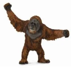 Collecta Orangutan - Figurki dla dzieci - miniaturka - grafika 3