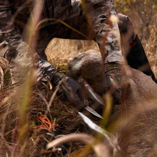 Gerber Nóż myśliwski Exo-Mod Drop Point - orange 30-001797 - Noże - miniaturka - grafika 4