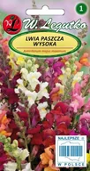 Nasiona i cebule - Legutko Lwia paszcza wysoka - mieszanka 5903837030088 - miniaturka - grafika 1