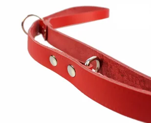 Haas F1 Team ZOO LESZCZ (PL) Soldina Dla Psa Taśma Regulowana Skóra Naturalna 20 mm ZL0134 ZOOLESZCZ (PL) - Smycze dla psów - miniaturka - grafika 4