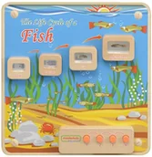 Tablice dla dzieci - Masterkidz Cykl Życia Ryby Tablica Edukacyjna Masterkidz Podświetlana ME13231 - miniaturka - grafika 1