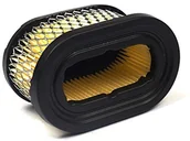 Akcesoria do kos i kosiarek - Briggs & Stratton 497725s wkład filtra powietrza 497725S - miniaturka - grafika 1