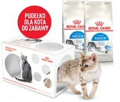 Mokra karma dla kotów - Royal Canin bytówka ROYAL CANIN Indoor 2x2kg + pudełko 229110 - miniaturka - grafika 1