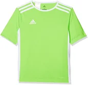 Piłka nożna - Adidas Dzieci entrada 18 Jersey Jersey, zielony, 140 CE9758 - miniaturka - grafika 1