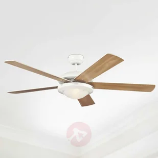 Westinghouse Comet 2 (7259840) - Wentylatory sufitowe - miniaturka - grafika 3