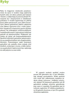 Wydawnictwo MAC Atlas biologiczny dla klasy 6 szkoły podstawowej 881347 - Podręczniki dla szkół podstawowych - miniaturka - grafika 5