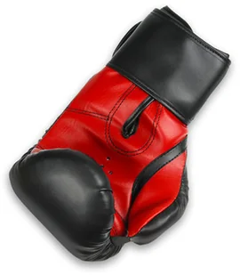 Bushido Rękawice bokserskie sparingowe RB-407 320301.8/0 - Rękawice bokserskie - miniaturka - grafika 5