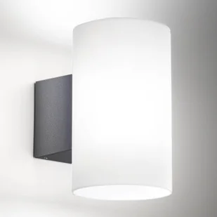 AILATI Kinkiet zewnętrzny LED Bianca ciemnoszary - Lampy ogrodowe - miniaturka - grafika 2