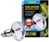 Terraria - Exo Terra Halogen Basking Spot - szerokie spektrum światła dziennego, 75 W PT2182 - miniaturka - grafika 1