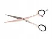 Nożyczki fryzjerskie - Jaguar WHITE LINE PASTELL NOŻYCZKI DO STRZYŻENIA 5,5 PLUS ROSE 4756-8 JAG000071 - miniaturka - grafika 1