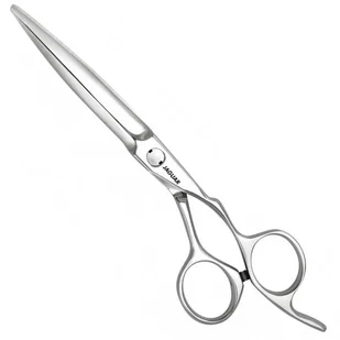 Jaguar Gold Line Heron nożyczki fryzjerskie, rozmiar 5.5 (25055) 15979 - Nożyczki fryzjerskie Jaguar Gold Line Heron nożyczki fryzjerskie, rozmiar 5.5 (25055) 15979 - Nożyczki fryzjerskie - miniaturka - grafika 1