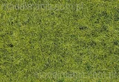 Kolejki i akcesoria - Heki Mata, trawa dzika wczesna 28x14cm 1576 - miniaturka - grafika 1