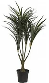 Sztuczne drzewka - Europalms EUROPALMS Dracena, zielono-czerwona, sztuczna, 90 cm 82505778 - miniaturka - grafika 1