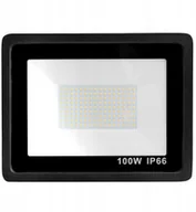 Lampy ogrodowe - Decorativi Halogen naświetlacz czarny LED bez czujnika ruchu 100W B.NEUTRALNA 4000K 243 Decorativi 243 - miniaturka - grafika 1