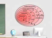 Pomoce naukowe - Naklejka na ścianę: Rodzaje liczb ED046 - miniaturka - grafika 1