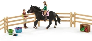 Schleich Szkola Jeździecka z Akcesoriami 42389 - Figurki dla dzieci - miniaturka - grafika 13