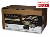 Nasiona i cebule - Substrat Boczniak Ostrygowaty, Pleurotus ostreatus - miniaturka - grafika 1