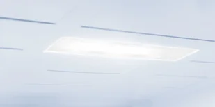 Lodówka Amica FK3556.4FZXAA - Lodówki - miniaturka - grafika 8