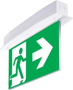 Intelight Oprawa awaryjna podtynkowa SUPREMA LED D-std SA 3H IP54 PT-S AT CNBOP INLEWA 94658 - Oprawy, klosze i abażury Intelight Oprawa awaryjna podtynkowa SUPREMA LED D-std SA 3H IP54 PT-S AT CNBOP INLEWA 94658 - Oprawy, klosze i abażury - miniaturka - grafika 1