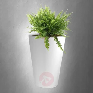 Mantra Kinkiet zewnętrzny Teja - świecąca doniczka - Lampy ogrodowe - miniaturka - grafika 3