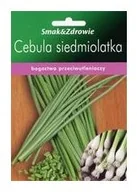 Nasiona i cebule - Floraland Cebula siedmiolatka  FLORALAND - miniaturka - grafika 1