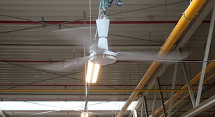 Master Destryfikator E56002 Biały - Wentylatory sufitowe Master Destryfikator E56002 Biały - Wentylatory sufitowe - miniaturka - grafika 3