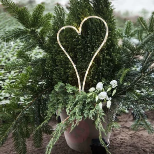 Best Season Lampa dekoracyjna zewnętrzna LED Decorationheart - Lampy ogrodowe - miniaturka - grafika 3