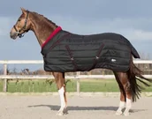 Derki dla konia - QHP Derka stajenna 200g 1200D kolekcja jesień-zima 2020/21 - black 6275 - miniaturka - grafika 1