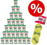 Mokra karma dla psów - Royal Canin Breed Breed Labrador Retriever Adult - 20 x 140 g - miniaturka - grafika 1