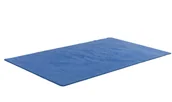 Meble do szkół i przedszkoli - AJ Produkty Dywan KALLE, 1500x2500 mm, niebieski - miniaturka - grafika 1