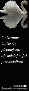 Bogulandia Zakładka do książki - Codziennie budzę się... - Powieści - miniaturka - grafika 3