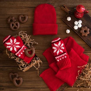 Art of Polo Rękawiczki Rejkiawik - Rękawiczki - miniaturka - grafika 7