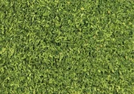 Kolejki i akcesoria - Heki Liście średnio-zielona / 200ml 1686 - miniaturka - grafika 1