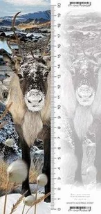 Worth-Keeping Gadżet Worth-Keeping Zakładka 3D Renifer WIKR-1000483 WIKR-1000483 - Gadżety USB - miniaturka - grafika 2