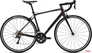 Giant Rower Contend 1 Rosewood 2022 - Rowery Giant Rower Contend 1 Rosewood 2022 - Rowery - miniaturka - grafika 1