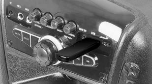 Trevi XF450 - Power audio - miniaturka - grafika 5