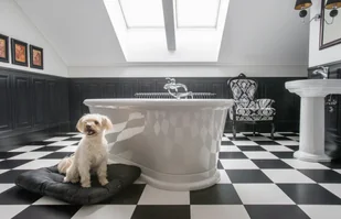 Ami Play Poduszka prostokątnaBasic - Legowiska dla psów - miniaturka - grafika 6