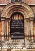 Podręczniki dla szkół wyższych - Zabytki kamienne i metalowe ich niszczenie i konserwacja profilaktyczna - miniaturka - grafika 1