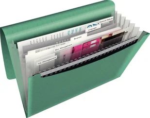 Esselte Colour'Ice - Teczki i skoroszyty - miniaturka - grafika 2