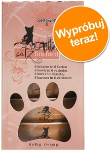 Catz Finefood Pakiet próbny filety 6 x 85 g Pakiet próbny - Mokra karma dla kotów Catz Finefood Pakiet próbny filety 6 x 85 g Pakiet próbny - Mokra karma dla kotów - miniaturka - grafika 1