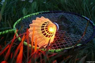 Badminton - Talbot LOTKI DO BADMINTONA TORRO MAGIC NIGHT LED ŚWIECĄCE M62-058-32 - miniaturka - grafika 1