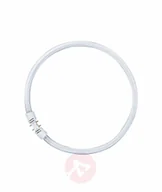 Świetlówki - Osram Świetlówka kołowa 2Gx13 LUMILUX T5 22W 830 - miniaturka - grafika 1