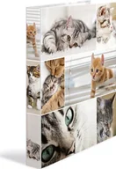 Segregatory - Herma Segregator 2-ringowy A4 35mm 19428 19428 - miniaturka - grafika 1