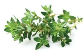 Click&Grow Kapsułki z nasionami Smart Soil 3 szt. tymianek 4742793007373 - Nasiona i cebule - miniaturka - grafika 2