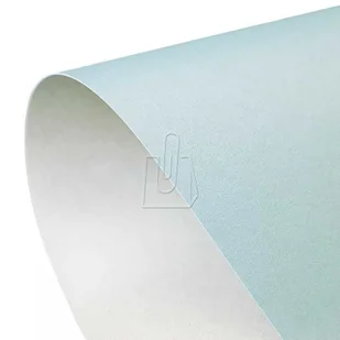 Galeria Papieru KARTON WIZYTÓWKOWY ARGO 220G PRIME NIEBIESKO - SREBRNY 20 SZT. - Papier do drukarek - miniaturka - grafika 2