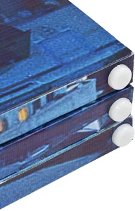 vidaXL Składany parawan, 120x180 cm, motyw Paryża nocą - Parawany - miniaturka - grafika 5